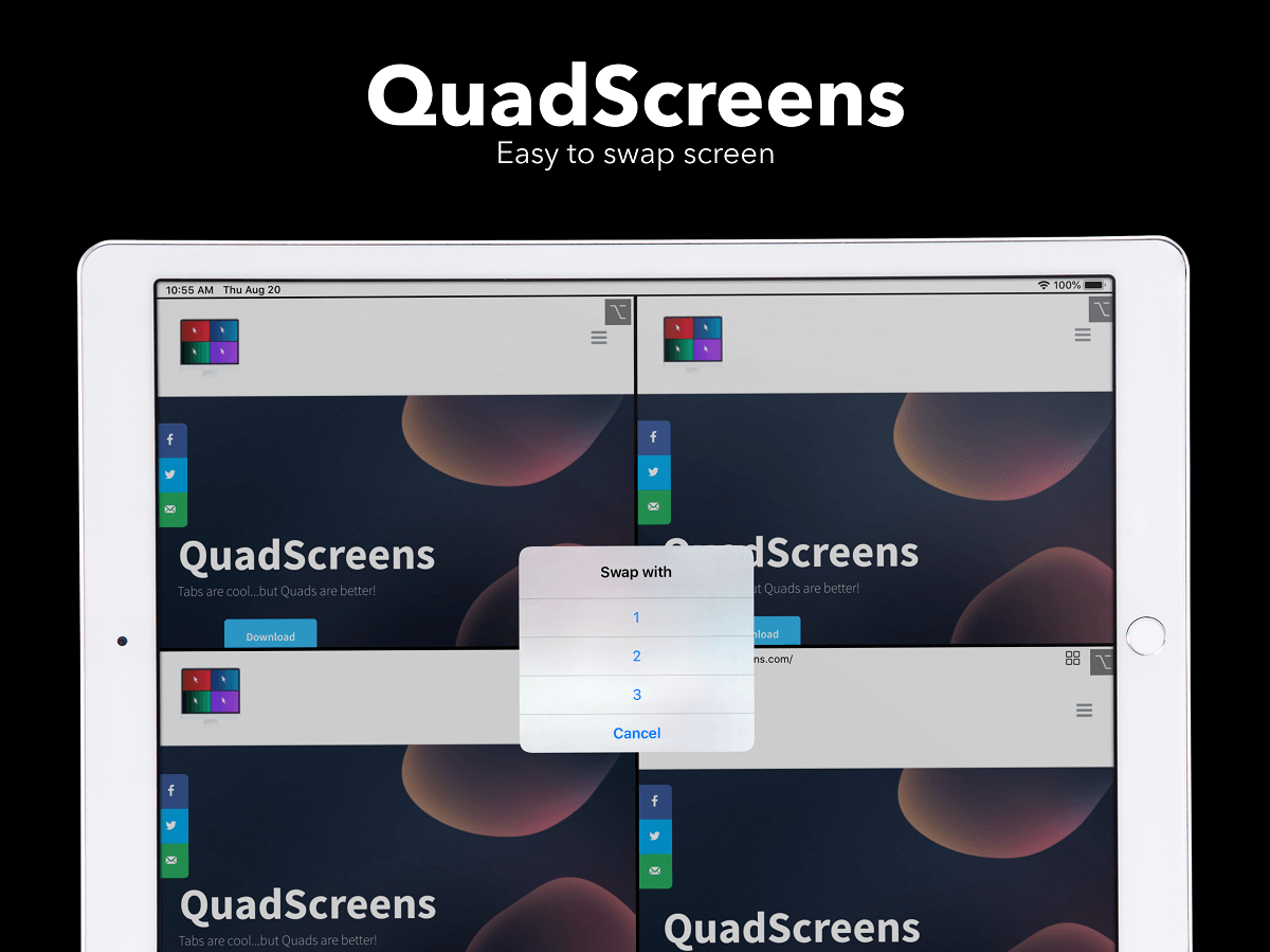 QuadScreens Application iPad iOS Aelius Venture